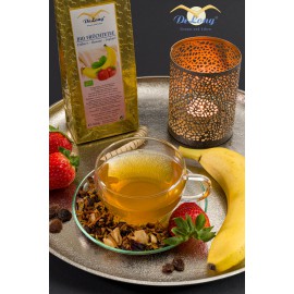 Bio Früchtetee Erdbeer-Banane-Joghurt 100g